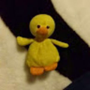 Meet your Posher, Tim